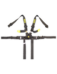 FORMULA HARNESS RPM 2″ – FIA