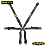 Schroth Clubman 2x2 Harness