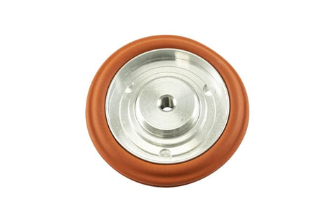 IWG75 TP Diaphragm Assembly Replacement